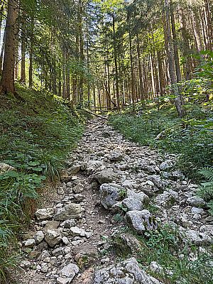 ...und folgen einer steinigen Rampe steil bergauf