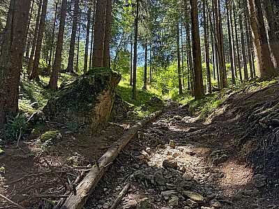 Es geht weiter bergauf