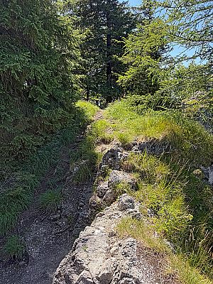Wir folgen dem Grat...