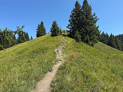...und steigen schließlich zum Heuberggipfel hinauf