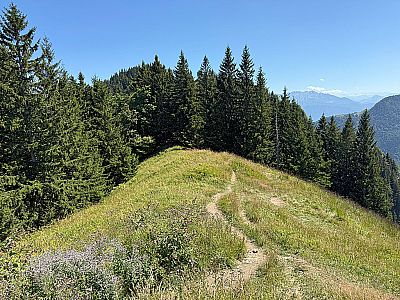 Vom Heuberg folgen wir dem Wiesenrücken südostwärts