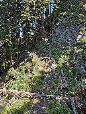 ...und treffen auf einen Felsbuckel