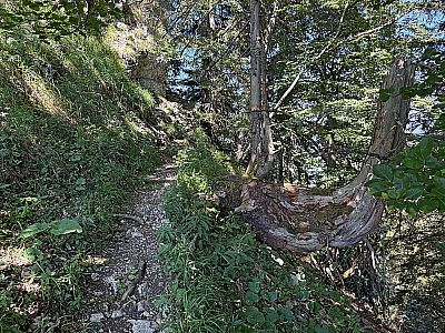 Rückblick zur Querung