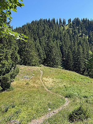 Wir wandern hinab zu einer grasigen Hochfläche