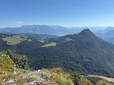 Vorschaubild 6