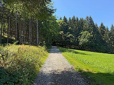 ...eine Lichtung