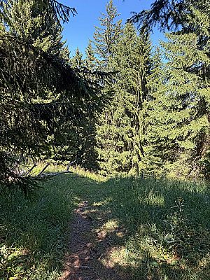 An der Verzweigung biegen wir rechts ab...