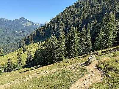 In Kehren wandern wir zügig hinunter...