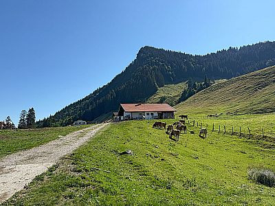 Lagleralm mit Kitzstein