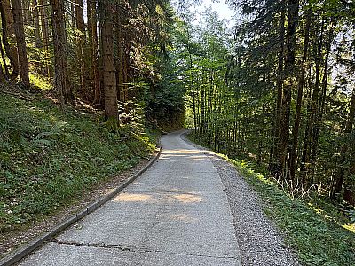 Wir folgem dem Fahrweg hinunter...