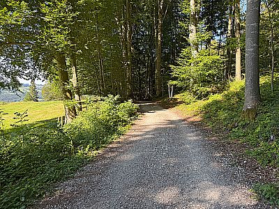 ...und kehren von dort auf dem Hinweg zurück nach Schweibern