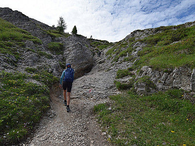 Schnell gewinnen wir auf dem Steig an Höhe