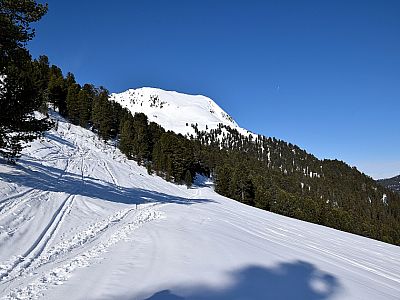 Der Schafzoll auf der Westseite des Mittertals