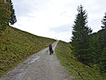 Wir treten aus dem Wald heraus...