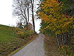 ...und schlagen den Weg zum Hörnle ein