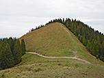 Wir wandern in den Sattel zwischen dem Mittleren und dem Vorderen Hörnle hinunter