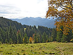 Blick zu den Ammergauer Alpen