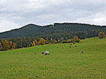 Ein letzter Blick zum Hörnle, ...
