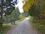 Der breite Forstweg...