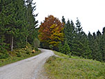 ...leitet uns in morderater Steigung bergauf