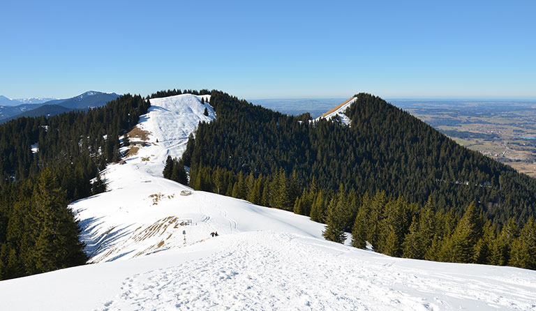 Hinteres Hörnle (1548 m), Vorderes Hörnle (1484 m) von Kappel