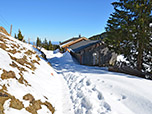 ...und erreichen nach einem Waldstück die Hörnlealm