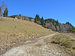 Nach einem Gatter wandern wir etwas steiler bergauf