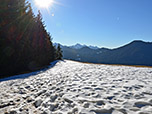 Von dieser Lichtung können wir einen Blick zur Klammspitze genießen