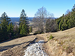 Wir lassen den Wald endgültig hinter uns...