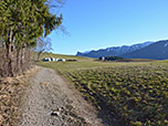 Über den Wiesmahdweg wandern wir...