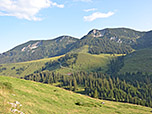 Blick zum Veitsberg und zum Thalerjoch