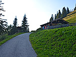 ...wandern wir zur Steinerkaseralm