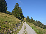 ...und schlagen einen Forstweg ein