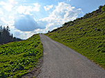 Über einen geteerten Fahrweg...