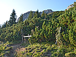 ...und betreten den Latschenwald bei einem Drehkreuz