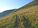 Ein Wiesenweg führt uns über die Gipfelflanke bergauf