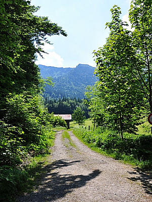Der Vorgipfel wird sichtbar