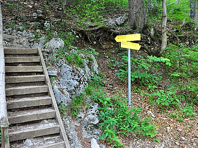 Hier kann man die Forststraße abkürzen