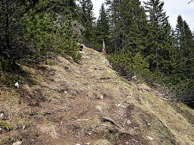 Mit zunehmender Höhe ist der Weg wieder deutlich zu erkennen