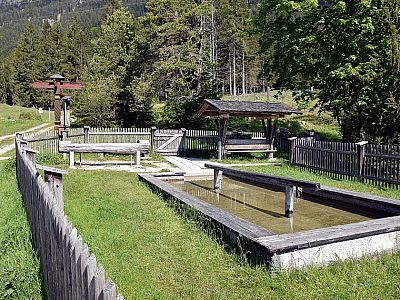 Direkt hinter der Kneipanlage...