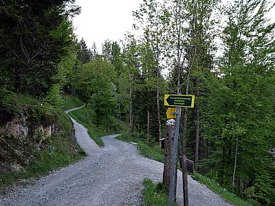 ... bevor wir links auf den Kramerplateauweg abbiegen, ...