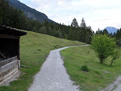 ... der uns wieder zurück zum ...