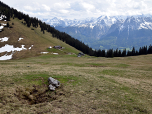 Bis zur Stepbergalm steigen wir auf dem Aufstiegsweg ab