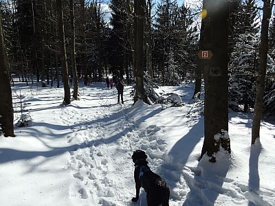 aber schon bald wird es flacher und wir kommen gut voran