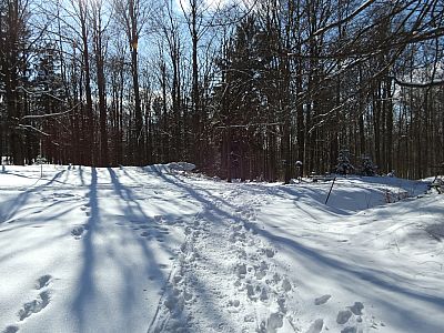 Wir queren eine Loipe und setzen unseren Weg dahinter fort