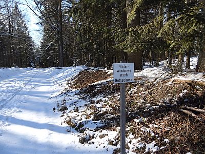 Wir marschieren auf der Forststraße neben dem Mühlgraben nach Westen
