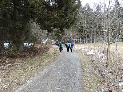 Nach Osten wandern wir flach weiter zum Wald