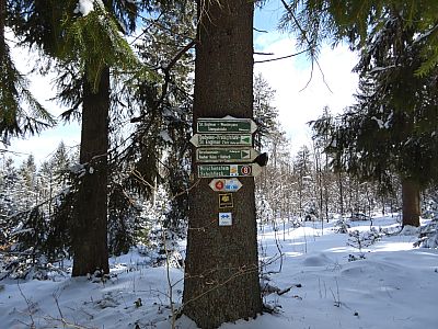 Für unseren Exkurs nach Oedwies biegen wir links ab