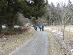 Nach Osten wandern wir flach weiter zum Wald