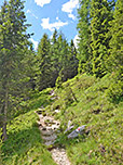 Von dort wandern wir linkshaltend durch ein Waldstück...